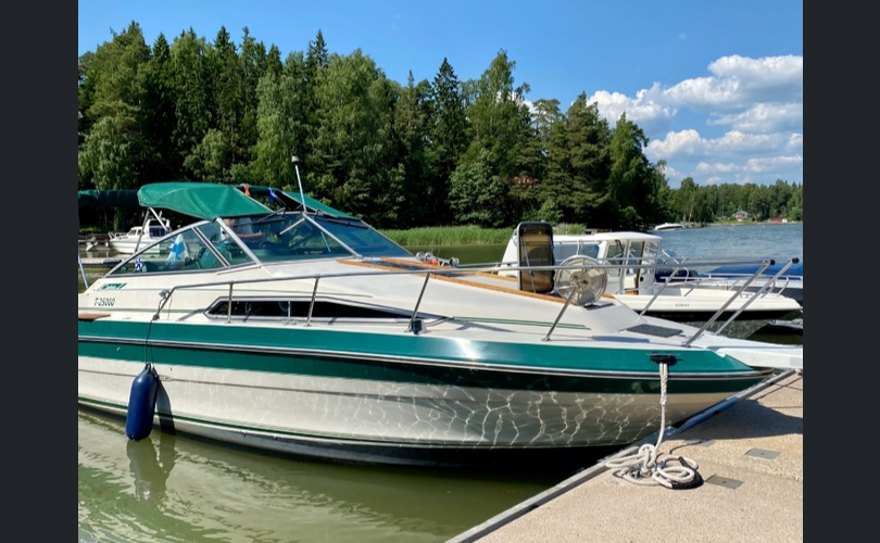 Sea Ray 250-kuva-12
